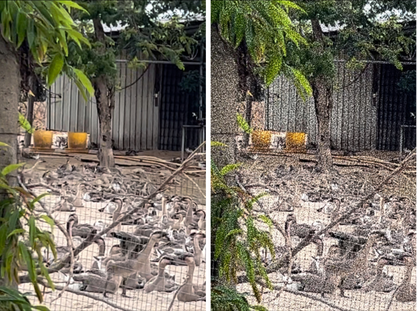 微信圖片_20230519135529 微信圖片_20230519135529